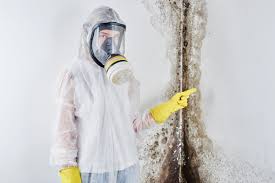 Best Mold Remediation for Healthcare Facilities  in St Bernard, OH